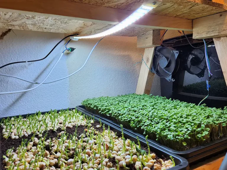 How To Light Microgreens: A Comprehensive Guide to Optimal Growth